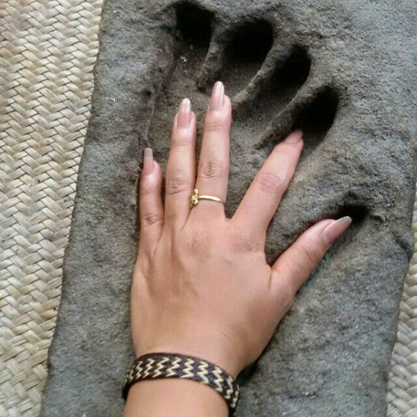 Orangutan  Palm