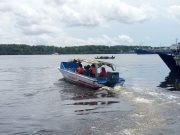 Wild Orangutan Tour go with Houseboat Klotok. Book now for Orangutan Tanjung Puting Tour 