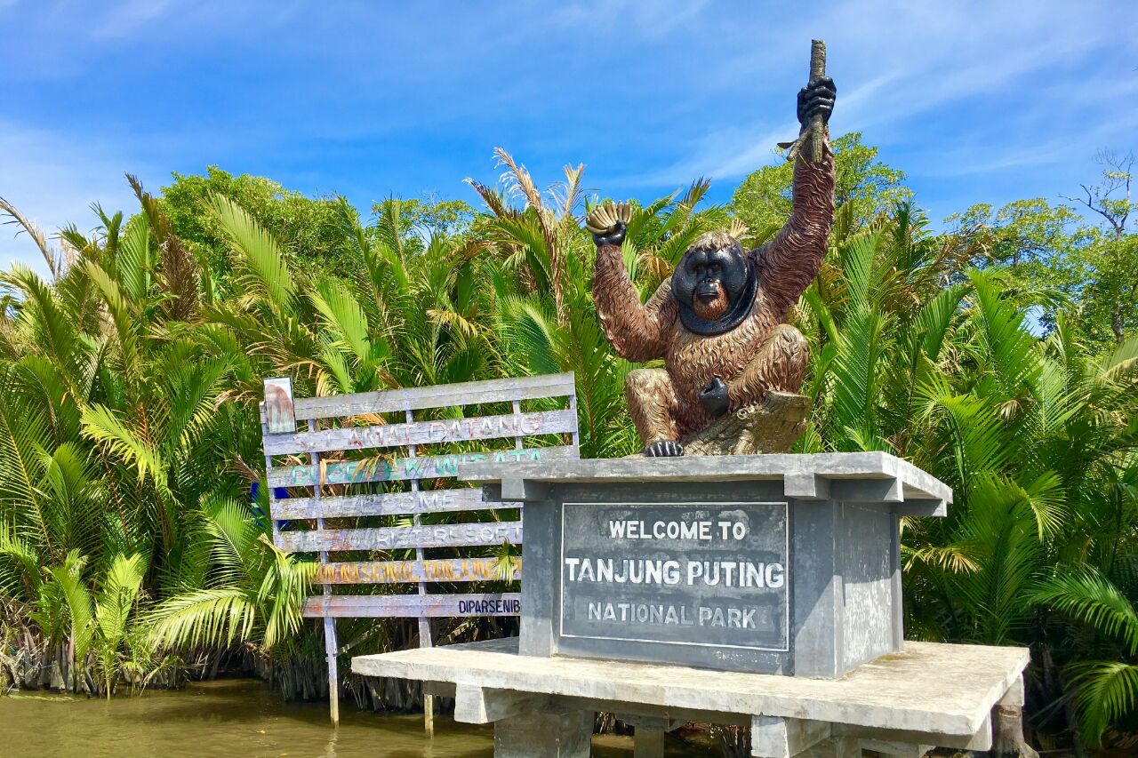Tanjung Puting National Park Biosphere Reserve